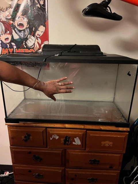40 Gallon Fish Tank
