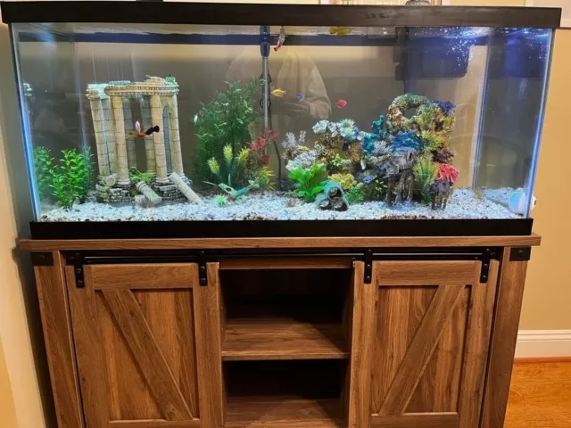 75 Gallon Fish Tank with Stand, Heater, Filter, and More!