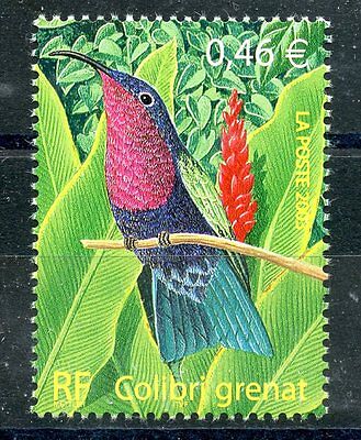 Photo non contractuelle COLIBRI TIMBRE FRANCE NEUF N° 3548 ** FAUNE 