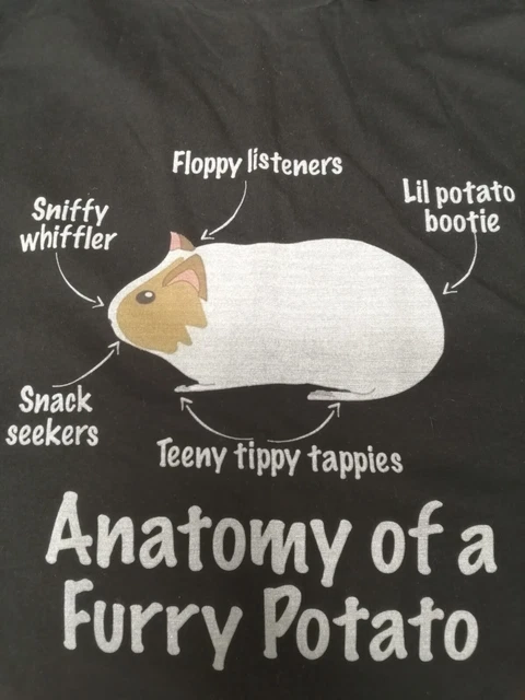 Guinea Pig T Shirt Black Large Anatomy Of A Furry Potato