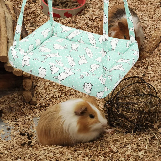 Hamac balançoire lapin, 1 ensemble, petit Animal, cochon d'inde, avec coussin