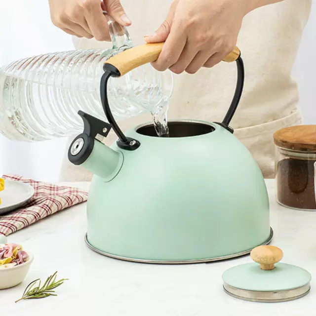 Whistling Tea Kettle 3L Stove Top Cooker Large Whistle Teakettle for Kitchen