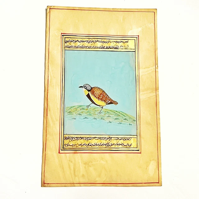 Middle Eastern Artwork Painting Of A Bird On Antique Urdu Book Leaf Decor — A