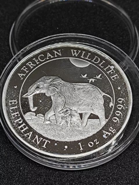 1 oz Silbermünze Somalia 100 Shillings African Wildlife Elefant 2022