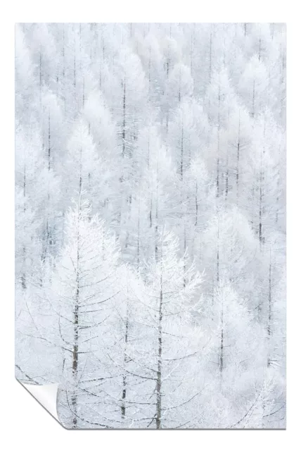 Japan Okutateshina Winter Forest Trees Artistic Poster Wall Art Home Decor