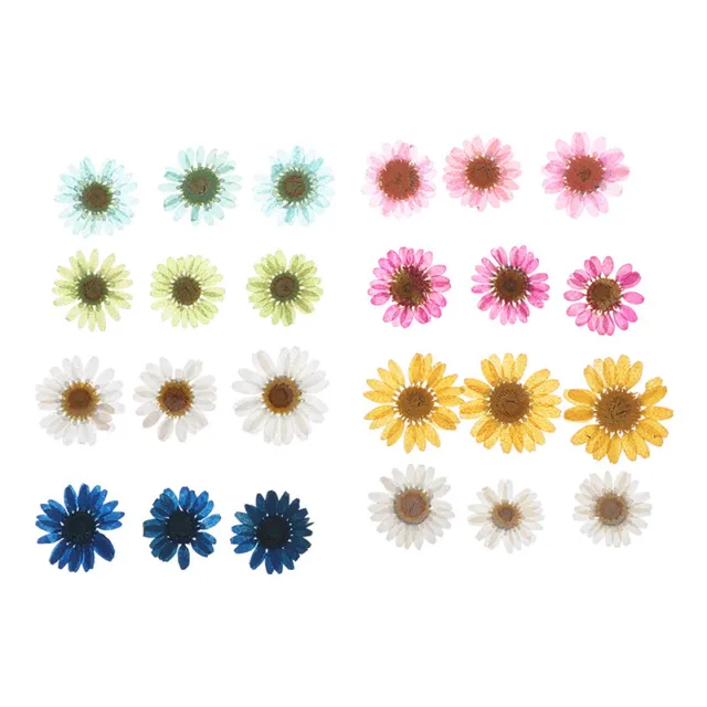 12x Chrysanthemums Pressed Dried Flowers For Art Craft Resin Jewelry Making -YB