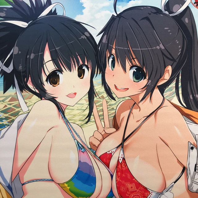 Neptunia x Senran Kagura Asuka & Homura B2 Wall Scroll Poster Tapestry AUTHENTIC