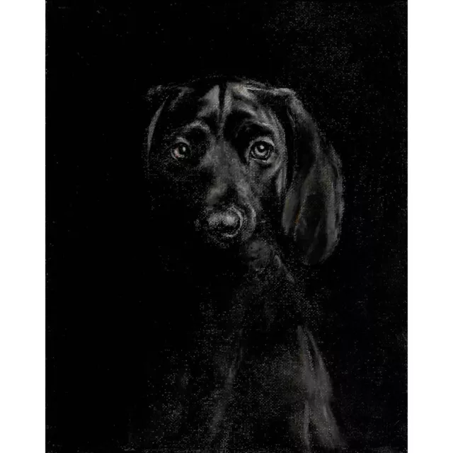 ✿ ORIGINAL Oil Portrait Painting GREAT DANE PUPPY Artist Signed Dog Art Black