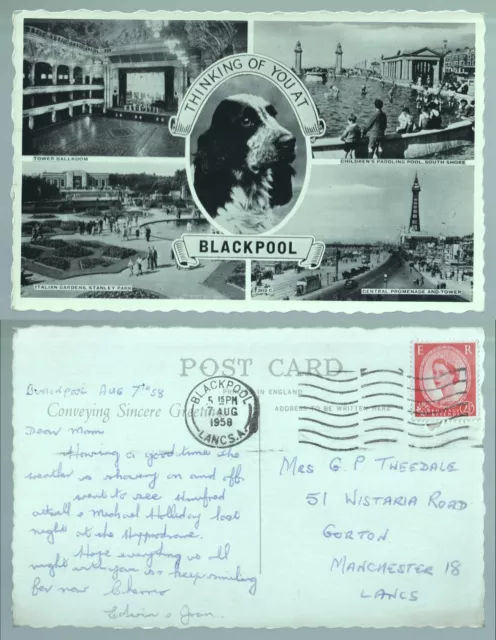 Blackpool Dog Multiview Lancashire Postcard. Posted 1958