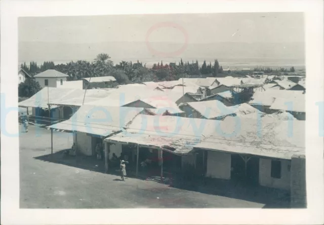 1950s Jordan Israel Palestine Jericho Refugee huts  3.5x2.5" orig photo