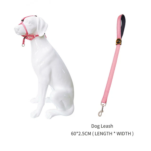 Dog Muzzle Leash Set Adjustable Pet Mouth Cover Mask Collar Lead Anti Bite Nylon