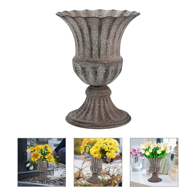 Pianta Da Interno Chamaedorea in Un Vaso Da Fiori Fotografia Stock