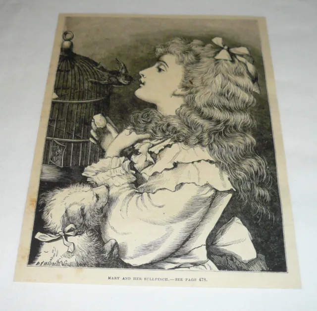 1878 magazine engraving ~ LITTLE GIRL PLAYING WTH HER BULLFINCH