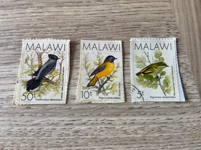 Malawi Stamps 3 pc Africa Birds Rare Starred Robin Moustached Green Tinkerbird