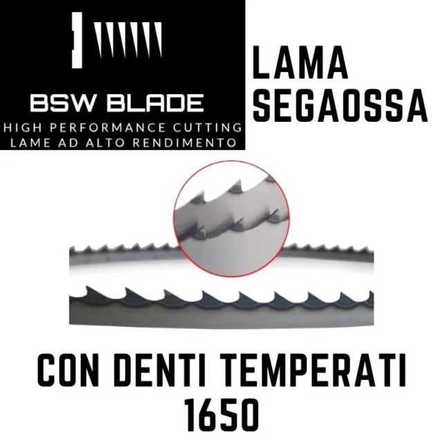 Lama a nastro 1650 inox segaossi