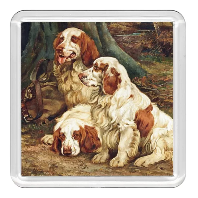 Clumber Spaniel Dogs Dog Acrylic Coaster Novelty Drink Cup Mat Great Gift