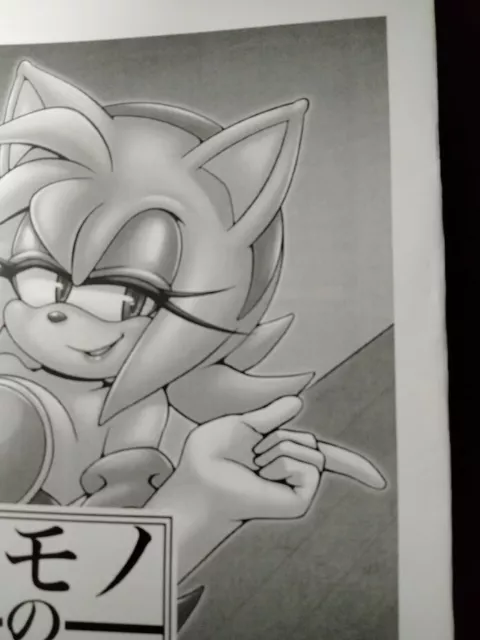 Sonic the Hedgehog Doujinshi Sonic X Shadow (B5 50pages) ROOT8Beat