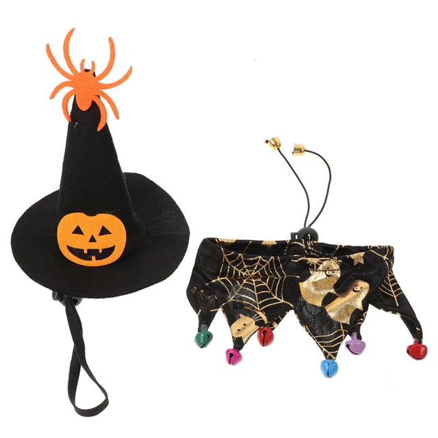 1 ensemble Halloween chat sorcière chapeau collier chiot Costume chat petit
