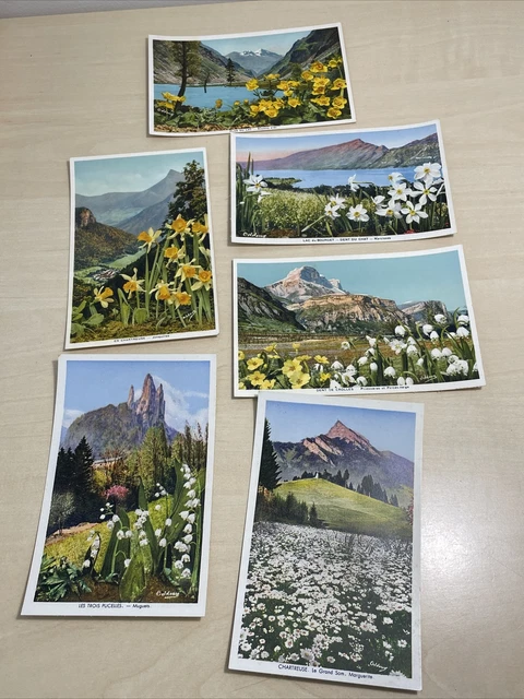 lot ancienne carte postale fleur