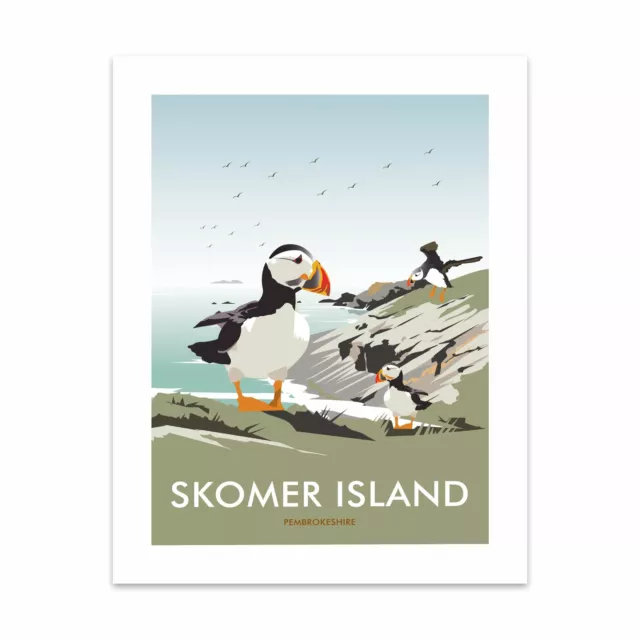 Skomer Island, Pembrokeshire 28x35cm Art Print by Dave Thompson