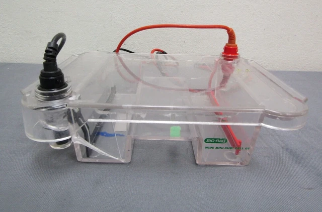 Bio Rad Wide Mini-Sub Cell GT for Electrophoresis Agarose Gel