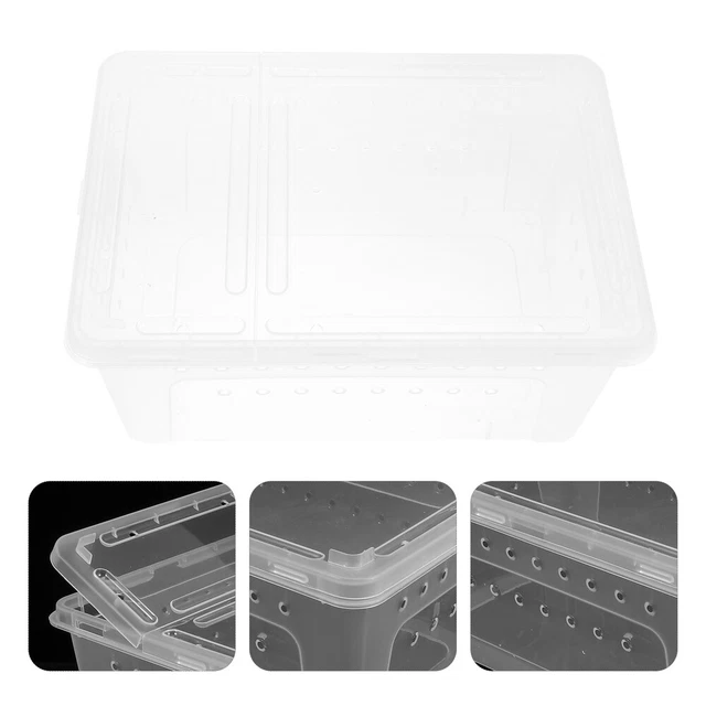 1 pz scatola rettile trasparente in plastica per geco tartaruga ragno scorpione serpente tartaruga