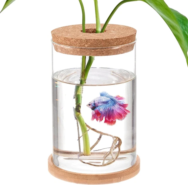 Small Betta Desktop Hanging Glass Fish Tank Mini Table Aquarium Betta Fish Bowl