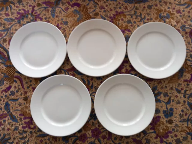 5 Assiettes Plates Anciennes  Badonviller  Terre De Fer Blanc