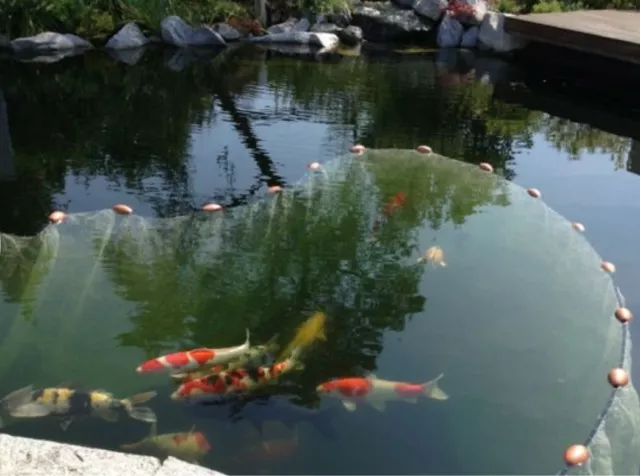 Knotenlos Zugnetz-Schleppnetz-Fischnetz- 10m x 2m MW 10mm # Karpfen Koi*