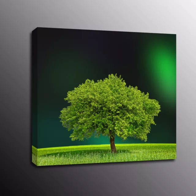 HD Canvas Prints Green Tree Wall Art Oil Painting Picture Poster Home Decor