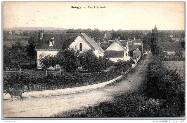 58 SOUGY - vue generale