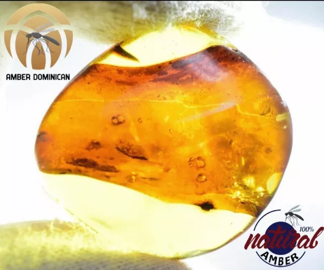 Leaf And Fly In Authentic Dominican Amber Fossil Natural (4.6 g) a1958