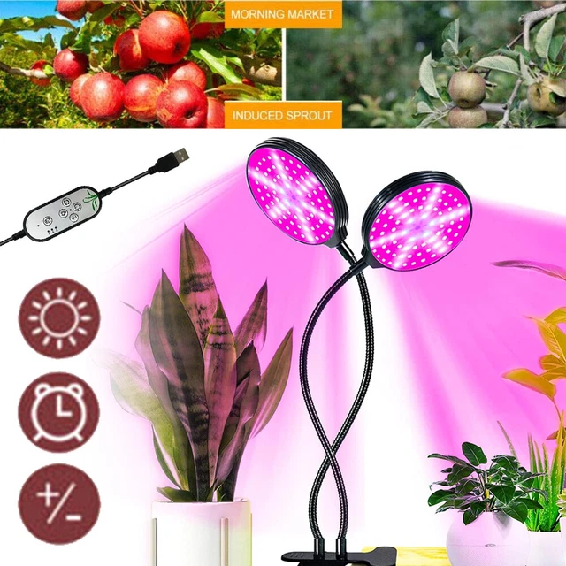 USB LED Grow Light Plant Growing Full Spectrum Dimmable Timer Ring Halo Lamp UK