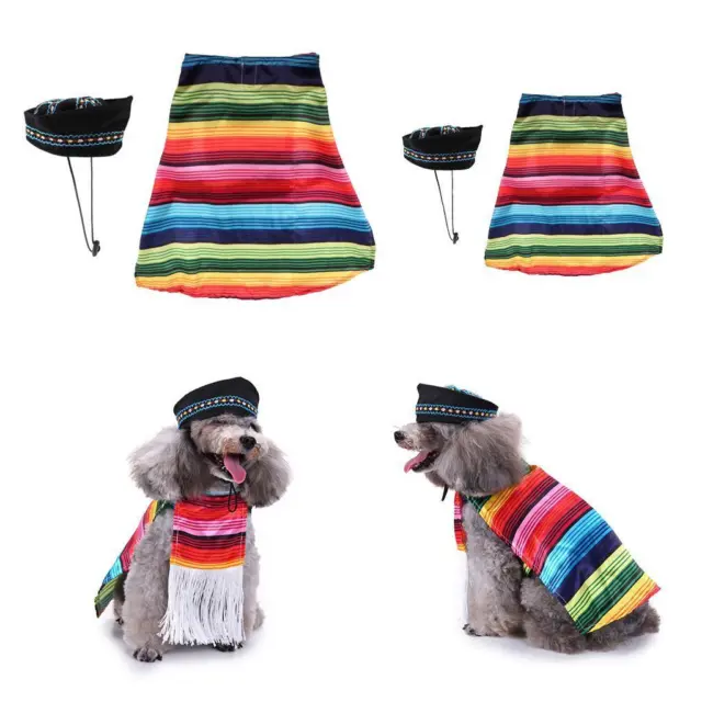 Mantello arcobaleno messicano del cucciolo di cane con costume da cappello nero