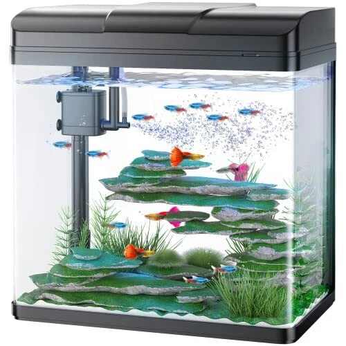 5 Gallon Fish Tank, Glass Aquarium with Air Pump, LED Cool Lights and Filter,