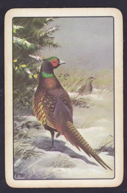 Pheasant Game Bird in Winter.Single Swap Playing Card