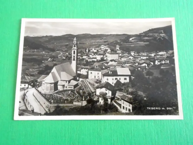 Cartolina Tesero ( Trento ) - Panorama 1933