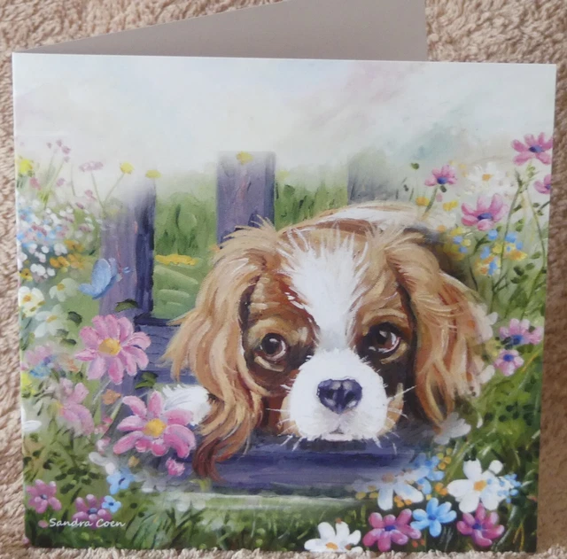 Cavalier King Charles Spaniel Dog Greeting Card 10 Sandra Coen Artist