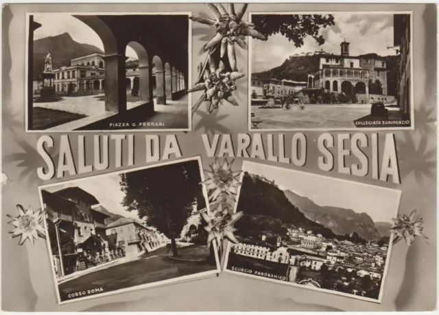 Saluti Da Varallo Sesia - Vedutine (Vercelli) 1960