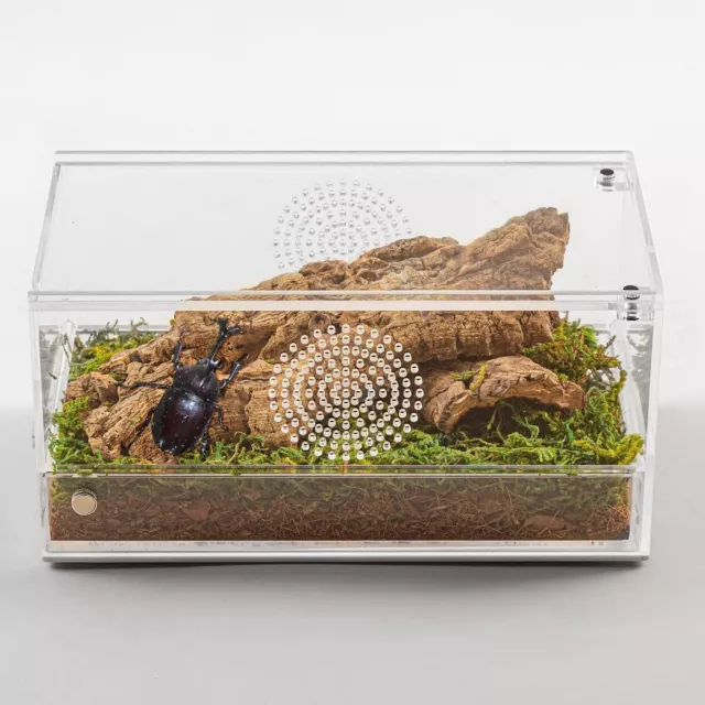 Magnetic Acrylic Reptile Terrarium Transparent Tarantula Enclosure-8x4x4