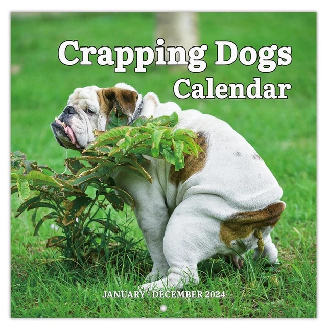 1 PIECE 2024 Wall Calendar 2024 Calendar Jan 2024 Dec 2024 Funny