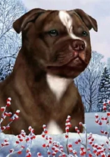 Winter House Flag - Chocolate Staffordshire Bull Terrier 15916