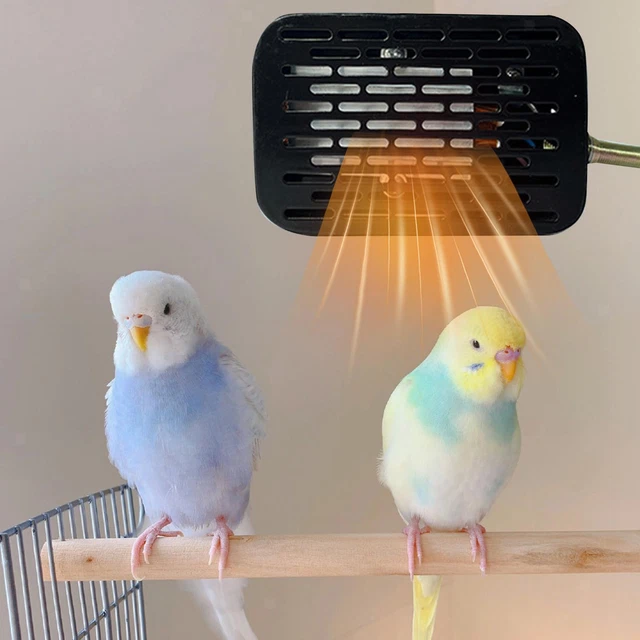 Bird Cage Heater Bird Heat Lamp with Lampshade for Lizards Small Birds Snake