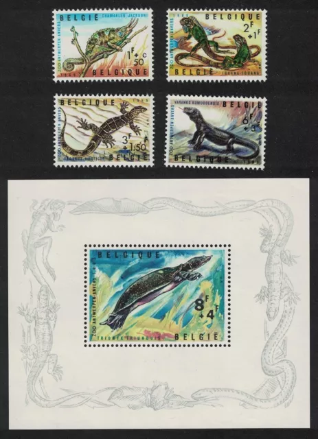 Belgium Soft-shelled Turtle Reptiles of Antwerp Zoo 4v+MS 1965 MNH