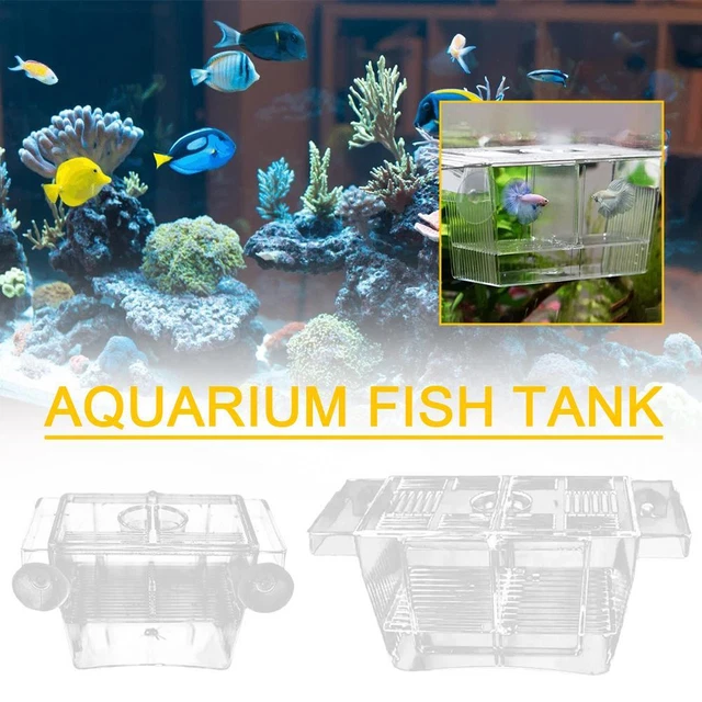 ACRYLIC FISH TANK Breeding Isolation Box Aquarium Incubator Holders ...