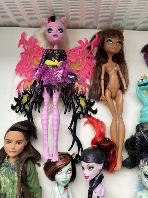 Monster High Puppen Set o. Einzelverkauf - Clawdeen, Frankie, Ever After High 3