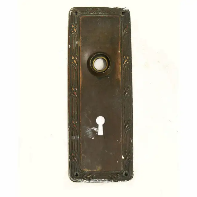 Antique Brass Door Plate Leaf Border Design Backplate Nouveau Style