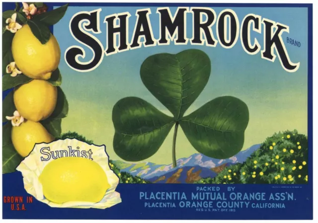 SHAMROCK Vintage Placentia Lemon Crate Label, Irish, Celtic, *AN ORIGINAL LABEL*