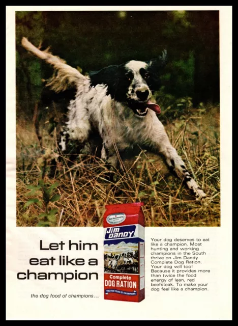 1968 Jim Dandy Dog Food English Setter "Let Him Eat Like A Champion" Print Ad