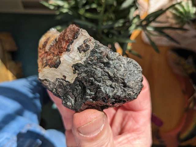 Agate Unknown From Old Collection 7oz